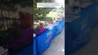 Первая в этом году выставка котиков и собачек! 🥰😍
