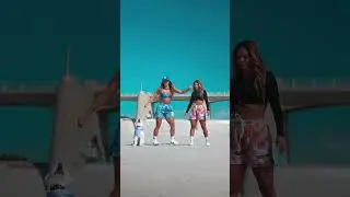 Let’s try out this shuffle combo! Who did it best: blue, pink or dog? #shuffledance #dogshorts