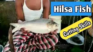 Hilsa Fish Cutting Skills | Big Hilsa Fish Cutting Skills | Kolkata
