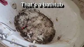 This house was so bad, we had to clean it with scrapers