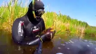 Сазан headshot