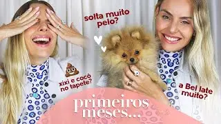 PRIMEIROS MESES COM UM FILHOTE EM CASA: Como foi a adaptação da Bel? (Spitz Alemão) | Layla Monteiro