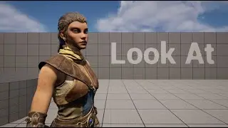 Unreal Engine 5: Look At