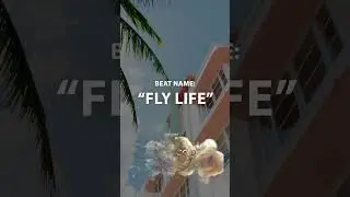 New vibey RnB beat with hard hitting 808's 