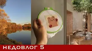 влог 6 расслабленный || осенняя фотография, шарлотка и посиделки в кофейне