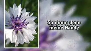 So nimm denn meine Hände (-)