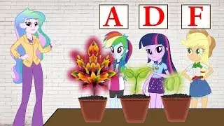 Equestria Girls The Funny Story Contest of Flowers | Equestria Girls  and Best Friends