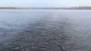 Отдыхаем в России!