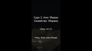 Сура 3, Алю Имран - «Семейство Имрана», Аяты 14-15. Анас аль Имади