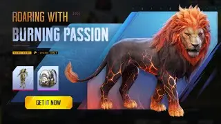 15 kills in pubg mobile