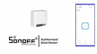 Sonoff Mini R2 Training Video