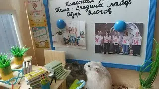 ГОВОРЯЩИЕ ХОМЯЧКИ ПОЗДРАВЛЯЮТ НАСТЮ С ДНЁМ РОЖДЕНИЯ!🎈ВРЕДИНА ЛАЙФ❤