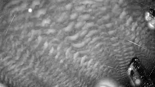 RMS BR0012 20240107 210310 039634 timelapse