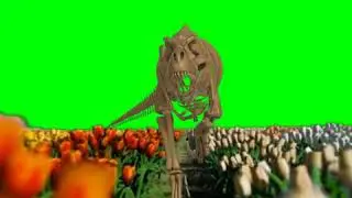 DINOSAUR