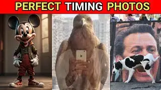 कुछ ऐसे photos जो एक दम परफेक्ट टाइम पर ली गई।Some such photos which were taken at the perfect time