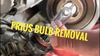 Prius headlight bulb removal