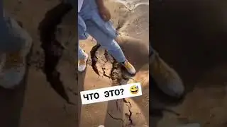 Почему лучше не наступать НА ЗЫБУЧИЕ ПЕСКИ?