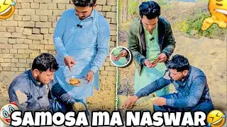 Samosa ma naswar 🤣 comedy video | Snuff in samosas🤪 | Shahbaz.24