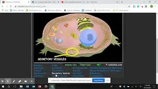 How to use 