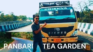 Panbari Tea Garden 🍵 Vlog with @coacktailksharma.4977