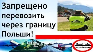 Что можно, а что нельзя перевозить через Польскую границу?