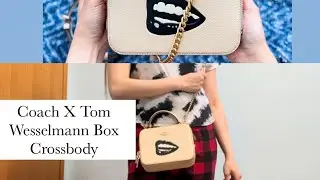 Coach X Tom Wesselmann Box Crossbody