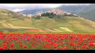 IN VOLO SU CASTELUCCIO NORCIA 2014 - the flowering