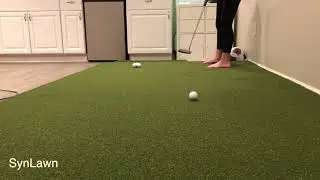 SynLawn Comparison
