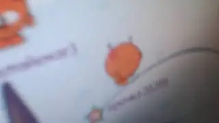 Шарарам клип: ты не моей породыы:((