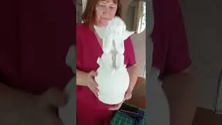 26 августа 2023 г.