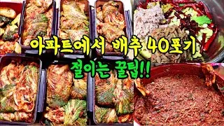 종가집에서 배우는 배추 40포기 아파트에서 김장하고 간 하는 비법👍여기저기서 달라고 애원하는 그 종가집김치 지금 한번 담아봅시다^^👈