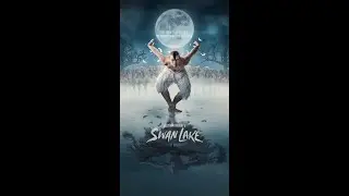 🦢 THE WAIT IS OVER...