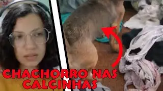 5 MESES SEM LAVAR AS CALCINHAS - muquiranas #5