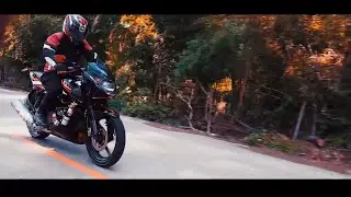 Motorcycle Pulsar 220 Biker -Trap Stranger In the Way
