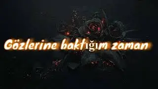 Siyah Güller/Muhammed Samed Ersoy ve Zeynep Kardelen Levent