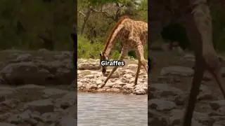 #viral