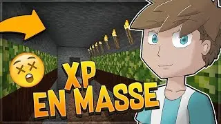 PALADIUM V5.5 | LA TECHNIQUE POUR FAIRE POUSSER LES XP BUSH | TECHNIQUE ULTIME - Ep.2