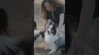 funny video #funny #shorts