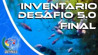 Desafio 5.0 Desove, Inventario y MAS