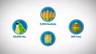 Grain and Oilseed Overview