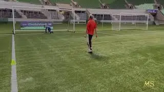 Dia dos Pais