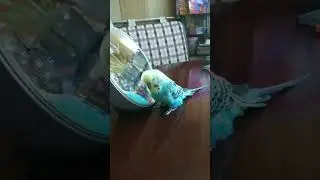Какой же я красавец!