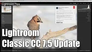Lightroom Classic CC v7.5 UPDATE - fastest version on my machines for ages!!