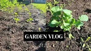 Garden with me | Veggie Garden Vlog 2022