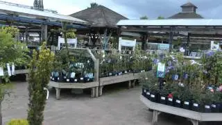 Scotsdale Garden Centre