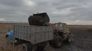 ПОГРУЗКА НАВОЗА НА Т-156!