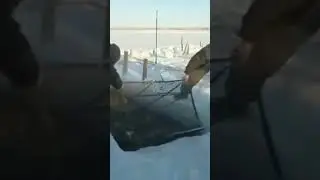 #зимняярыбалка