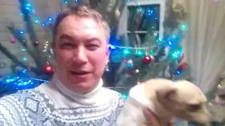 Поздравления с Новым годом!Год собаки поздравляет собачка Чаран