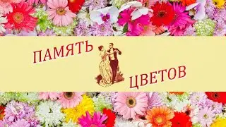 Вальс "Память Цветов" Франческо Росси - обработка для гитары.