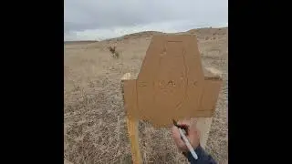 accelerator drill: CZ P-10 C